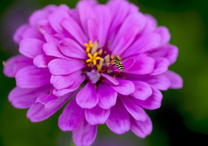 Uber Exif Photo