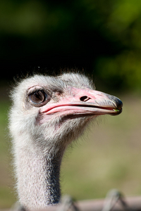 Uber Exif Photo