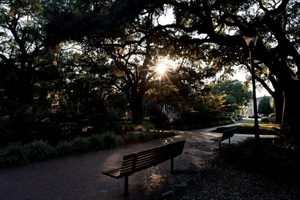 Uber Exif Photo