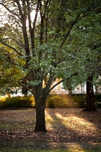 Uber Exif Photo