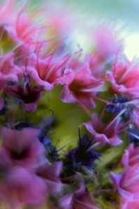Uber Exif Photo