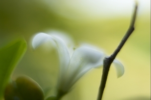 Uber Exif Photo