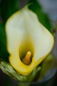 Uber Exif Photo