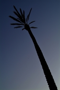 Uber Exif Photo