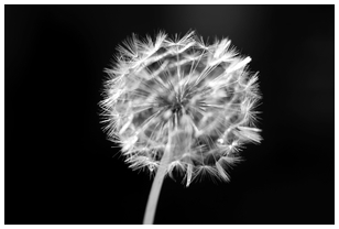 Uber Exif Photo