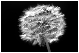 Uber Exif Photo