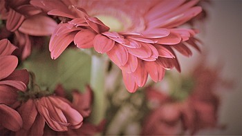 Uber Exif Photo