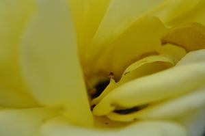 Uber Exif Photo