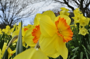 Uber Exif Photo