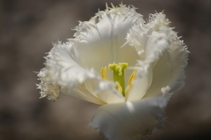 Uber Exif Photo