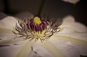 Uber Exif Photo