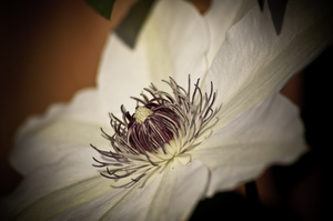 Uber Exif Photo