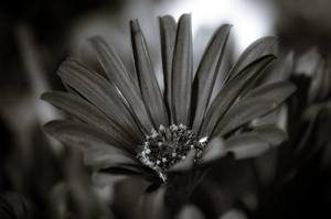 Uber Exif Photo