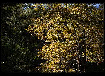 Uber Exif Photo
