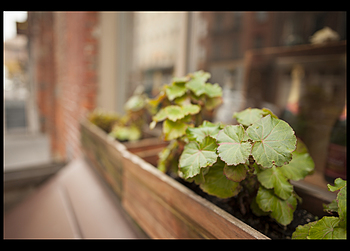 Uber Exif Photo