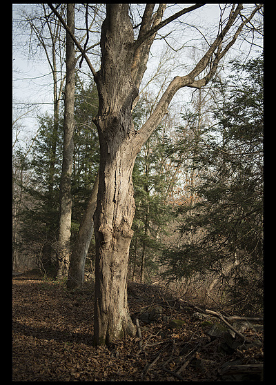 Uber Exif Photo
