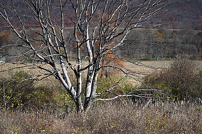 Uber Exif Photo