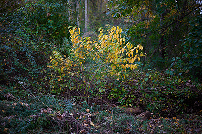 Uber Exif Photo