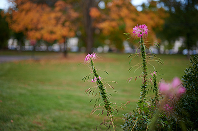 Uber Exif Photo