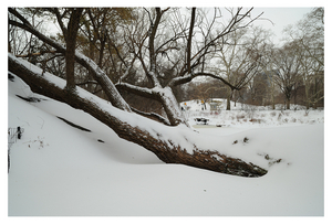 Uber Exif Photo