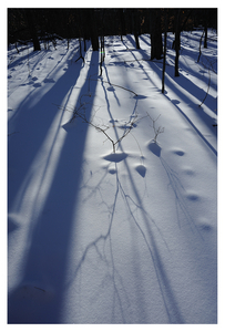 Uber Exif Photo