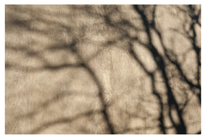 Uber Exif Photo