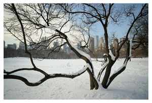 Uber Exif Photo