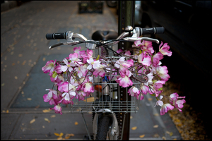 Uber Exif Photo