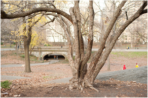 Uber Exif Photo