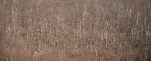 Uber Exif Photo