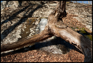 Uber Exif Photo