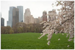 Uber Exif Photo