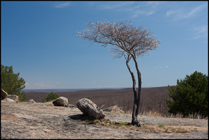 Uber Exif Photo