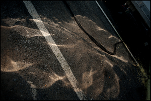 Uber Exif Photo