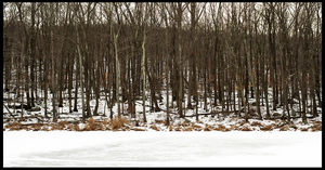 Uber Exif Photo