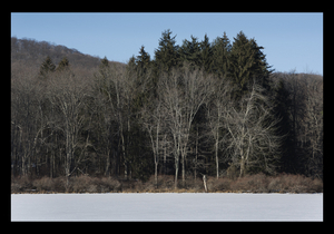 Uber Exif Photo