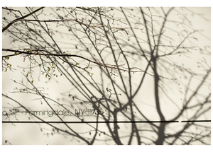 Uber Exif Photo