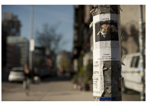 Uber Exif Photo