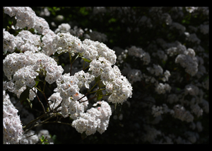 Uber Exif Photo