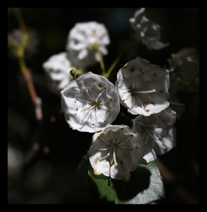 Uber Exif Photo