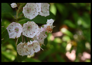 Uber Exif Photo