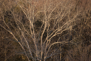 Uber Exif Photo