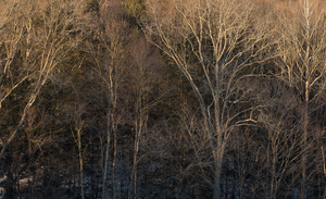 Uber Exif Photo