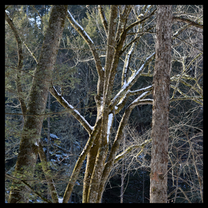 Uber Exif Photo