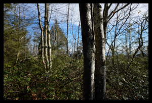 Uber Exif Photo