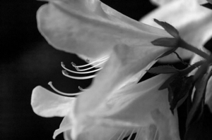 Uber Exif Photo