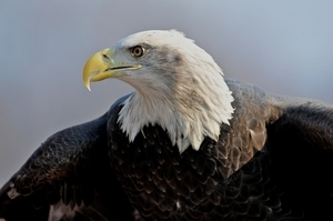 Uber Exif Photo