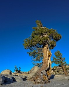 Uber Exif Photo