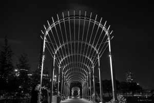 Uber Exif Photo