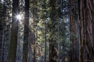Uber Exif Photo